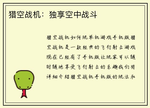 猎空战机：独享空中战斗